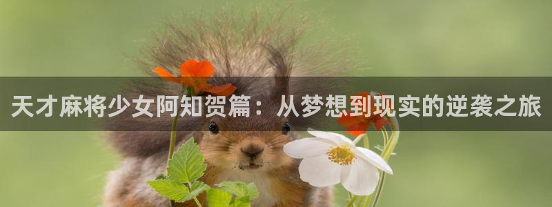 女神漫画免费下拉式奇妙漫画：天才麻将少女阿知贺篇：从梦想到现实的逆袭之旅