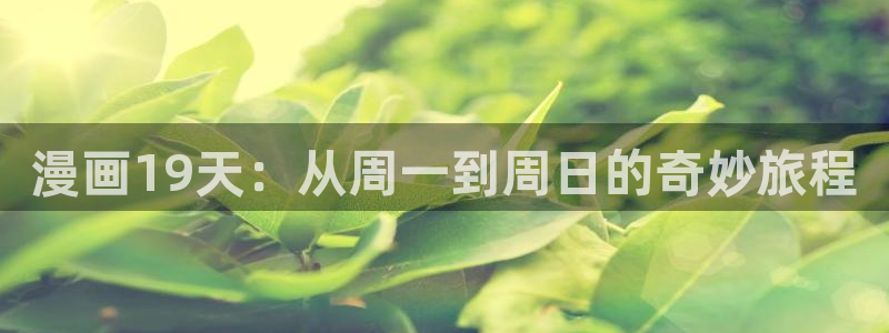 韩国女神漫画：漫画19天：从周一到周日的奇妙旅程
